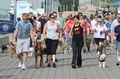 Riverfront canine club (9)